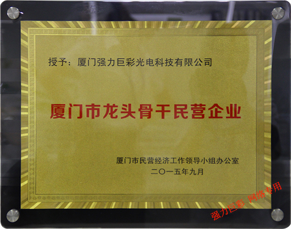 高新技術(shù)企業(yè)牌匾 高新技術(shù)企業(yè)牌匾