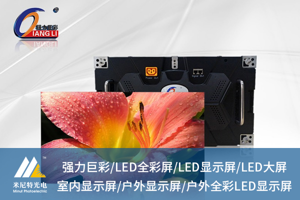 1752213449283750.jpg 米尼特2.jpg